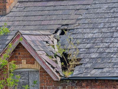 Professional commercial water damage restoration services in Arlington - water damage restoration service